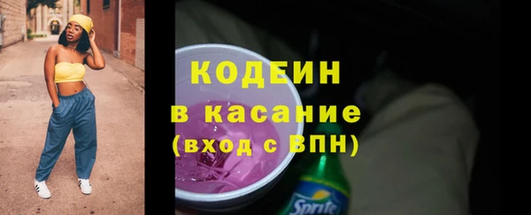 стаф Аркадак