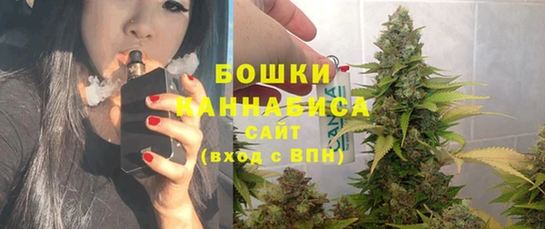стаф Аркадак