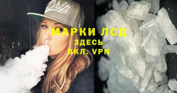 стаф Аркадак