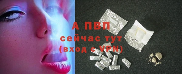 стаф Аркадак